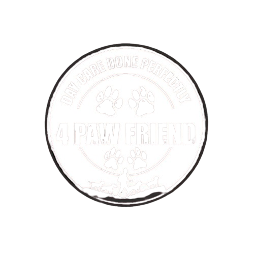 WhatsApp_Image_2026-02-19_at_11.52.08_PM-removebg-preview